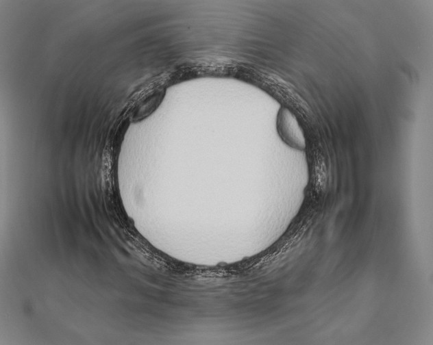 X0000112040964200908311233