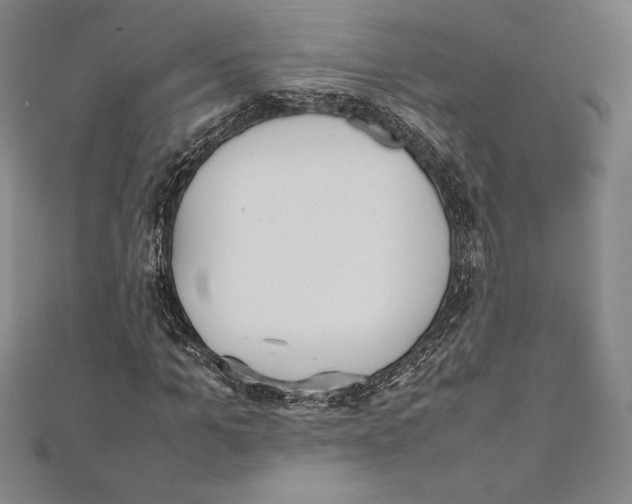 X0000112040965200908311233