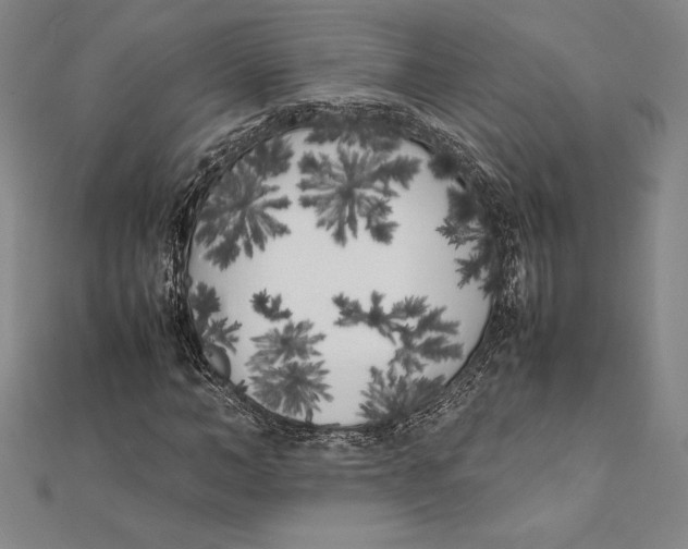 X0000112040966200908311233