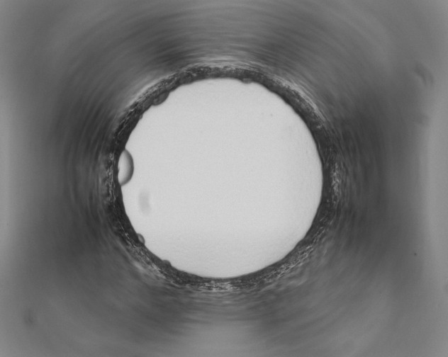 X0000112040968200908311233