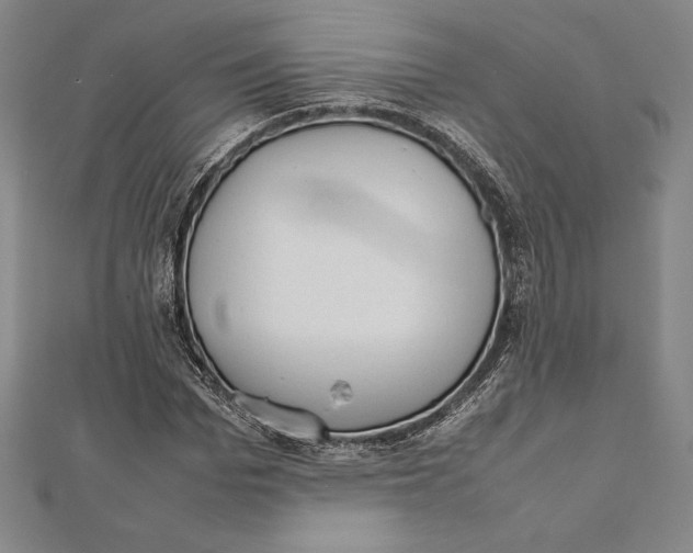 X0000112040969200908311232