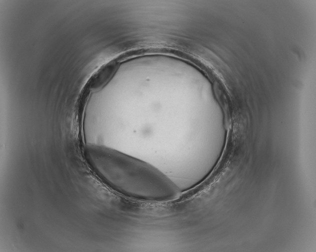 X0000112040973200908311232