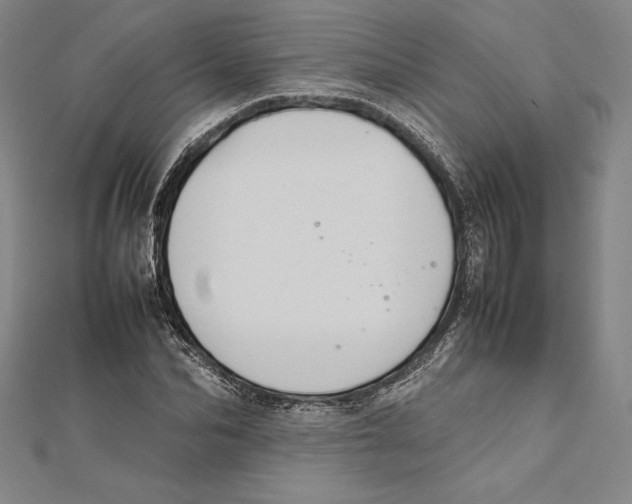 X0000112040974200908311232