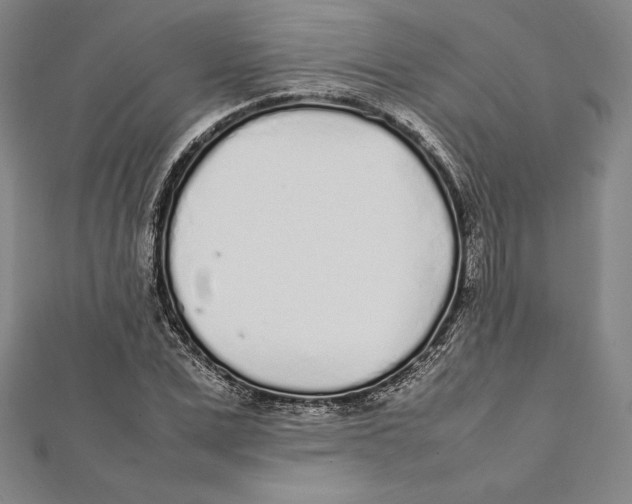 X0000112040975200908311232