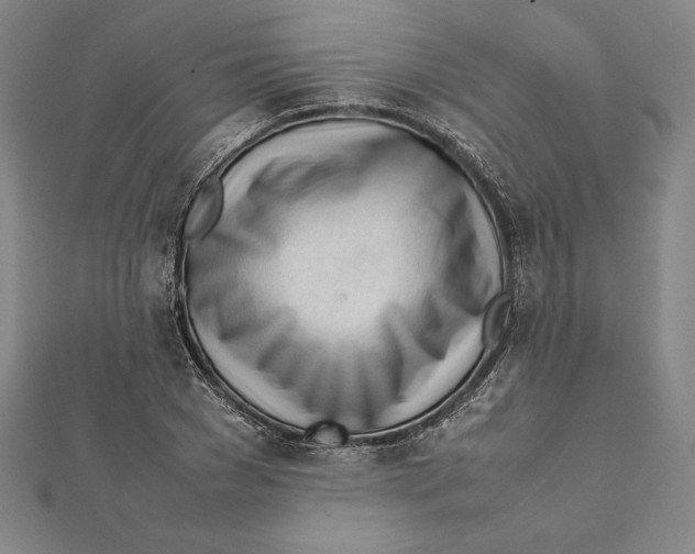 X0000112040977200908311232