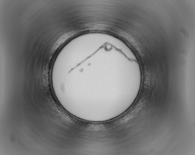 X0000112040978200908311232