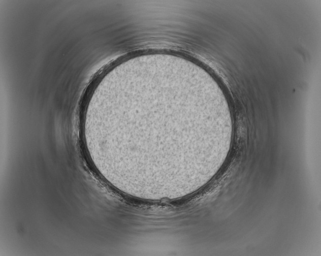 X0000112040979200908311232