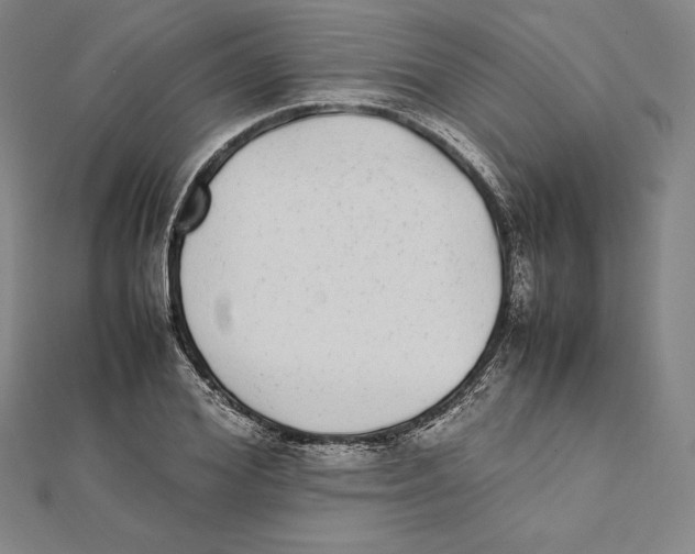 X0000112040980200908311232