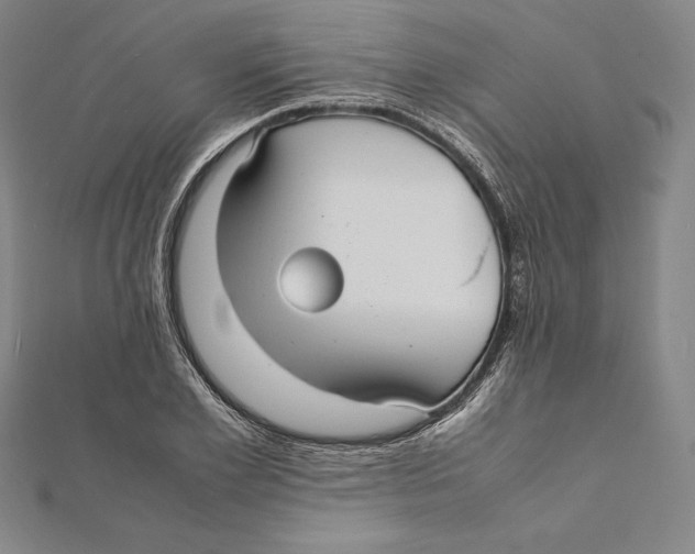 X0000112040981200908311232