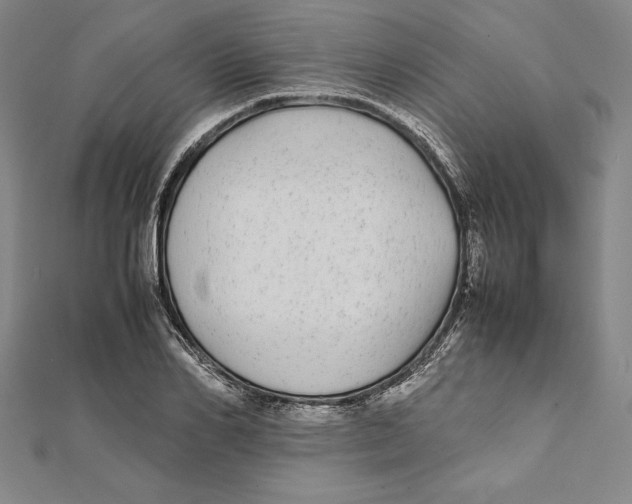 X0000112040982200908311232