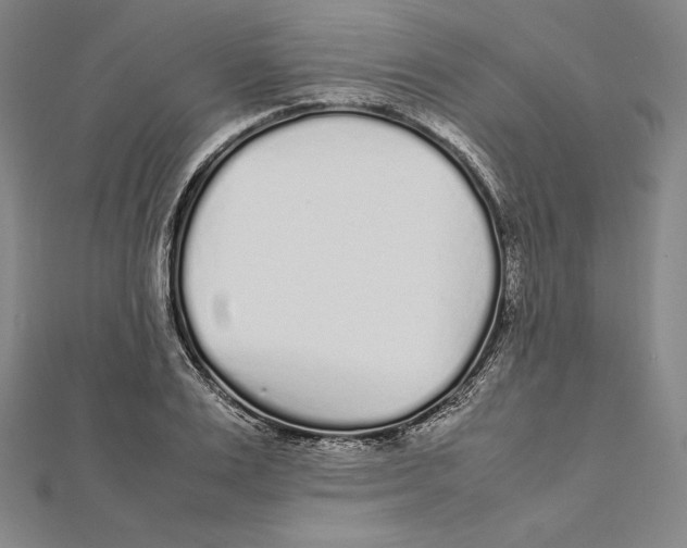 X0000112040983200908311232