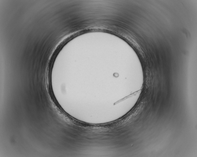 X0000112040984200908311232