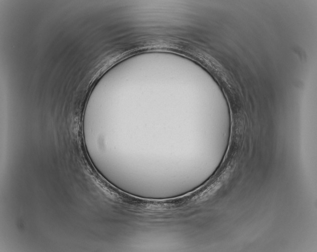X0000112040985200908311232