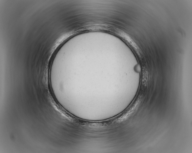 X0000112040986200908311232