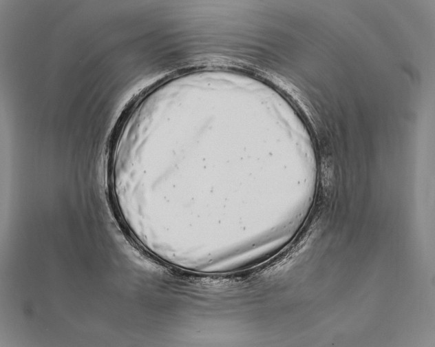 X0000112040987200908311232