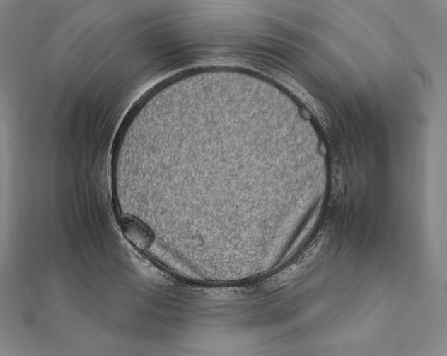 X0000112040988200908311232