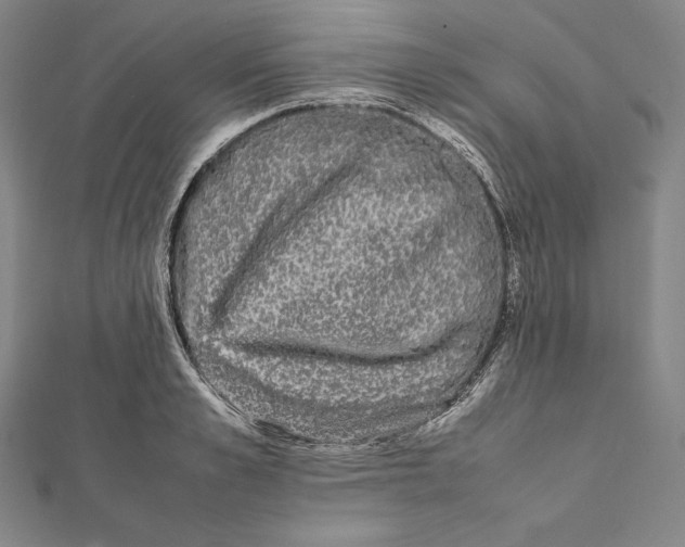 X0000112040989200908311232