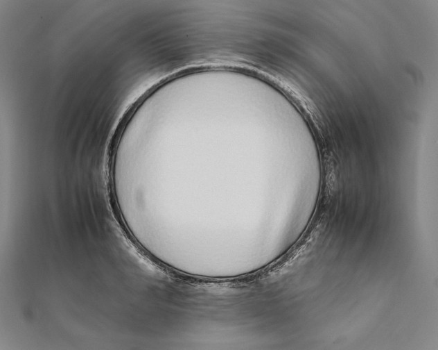 X0000112040990200908311232