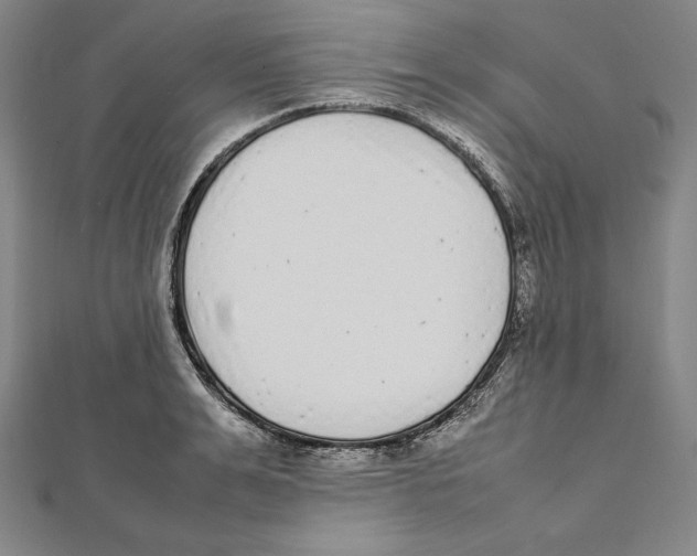 X0000112040991200908311232