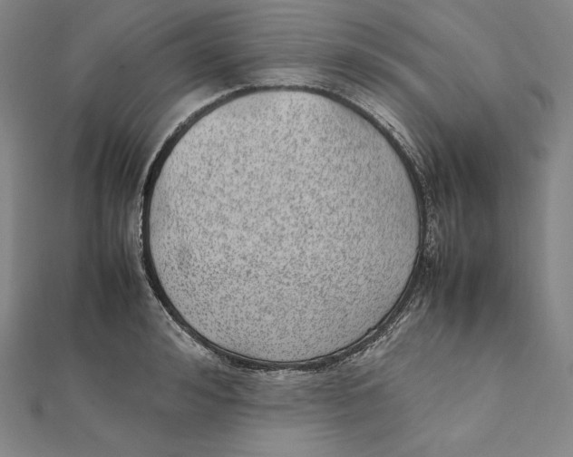 X0000112040992200908311232