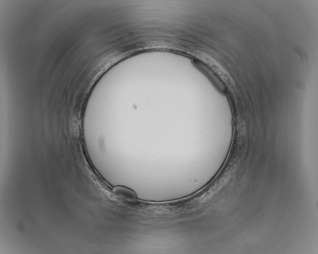 X0000112040993200908311232