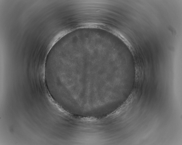 X0000112040994200908311232