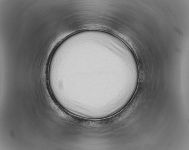 X0000112040995200908311232