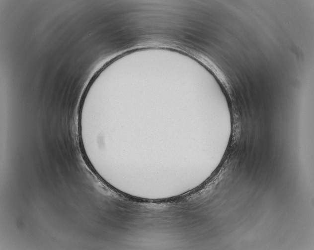 X0000112040996200908311232