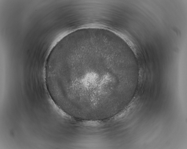X0000112040998200908311232
