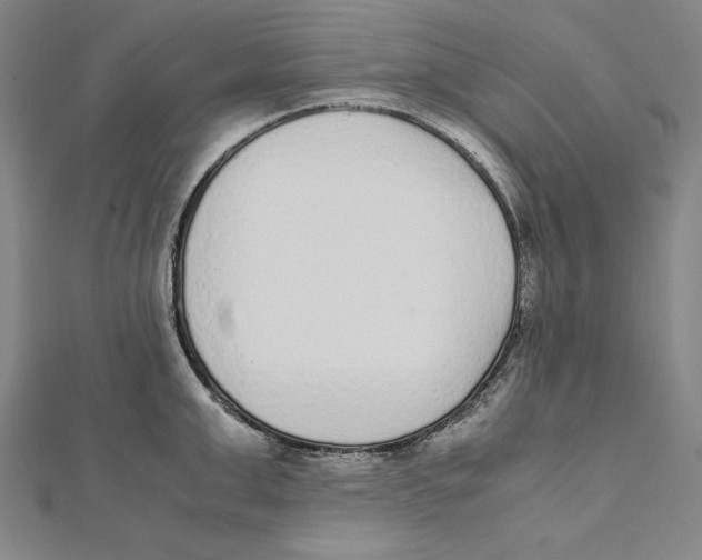 X0000112040999200908311232