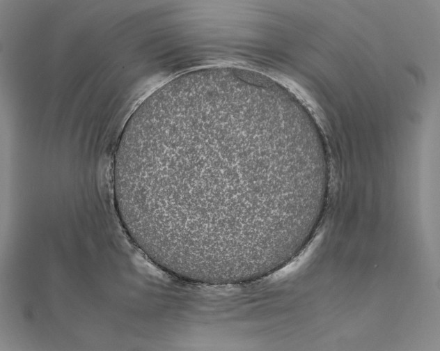 X0000112041001200908311232