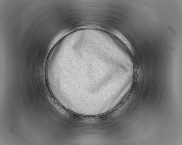 X0000112041002200908311232