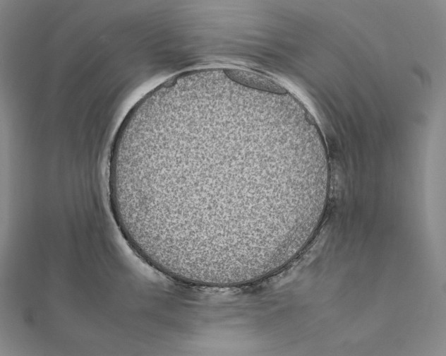 X0000112041003200908311232