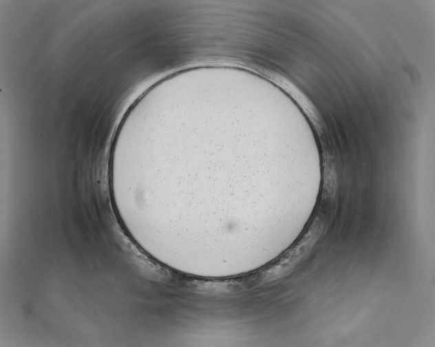 X0000112041004200908311232
