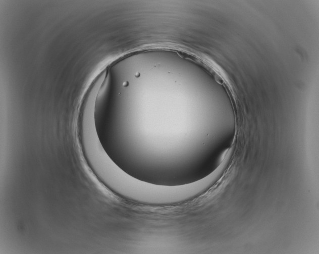 X0000112041005200908311232