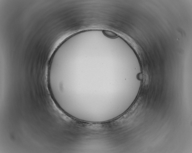 X0000112041006200908311232