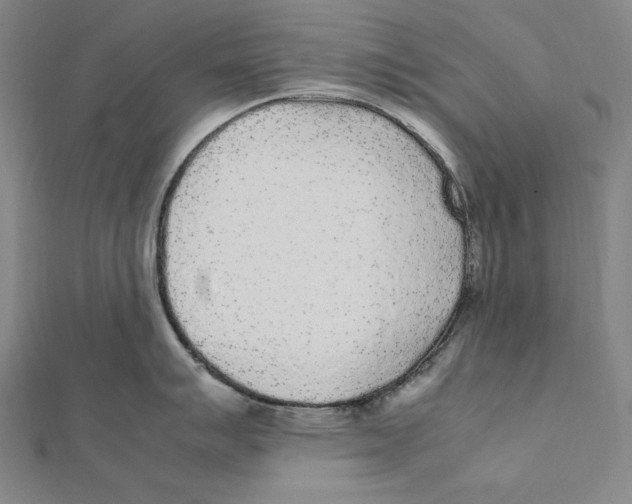 X0000112041007200908311232