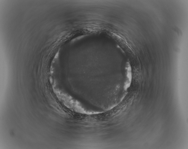 X0000112041009200908311231