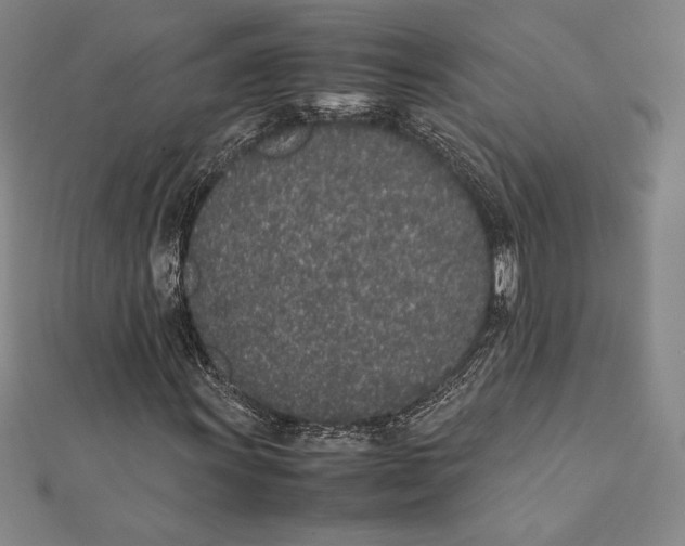 X0000112041011200908311231