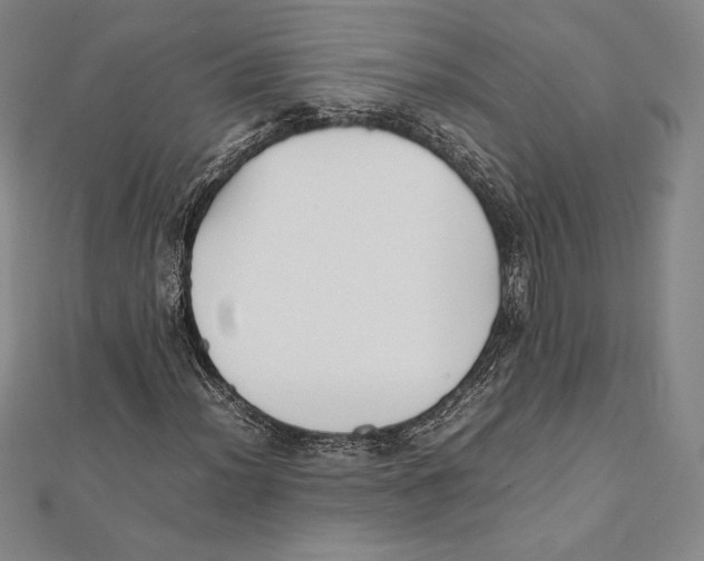 X0000112041012200908311231