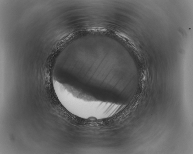 X0000112041013200908311231