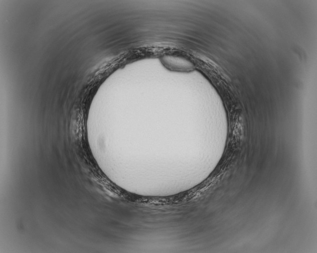 X0000112041014200908311231