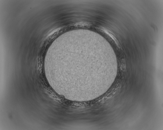 X0000112041015200908311231