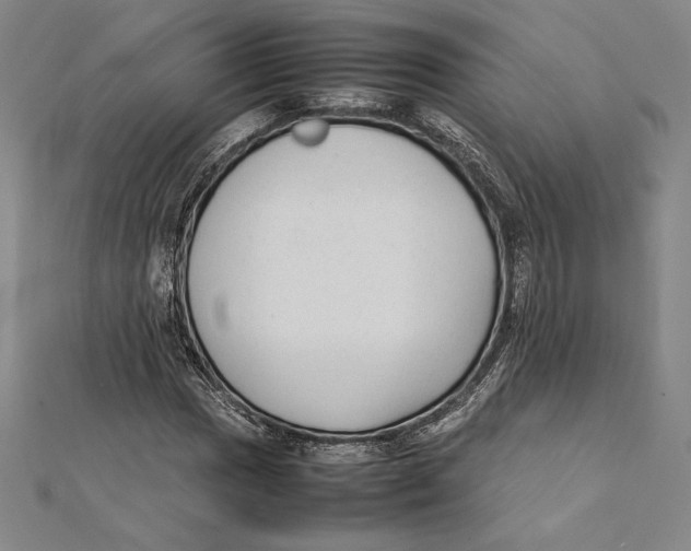 X0000112041017200908311231