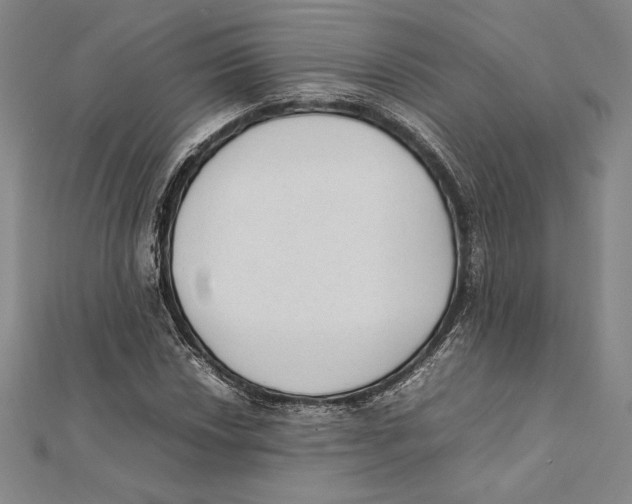 X0000112041018200908311231