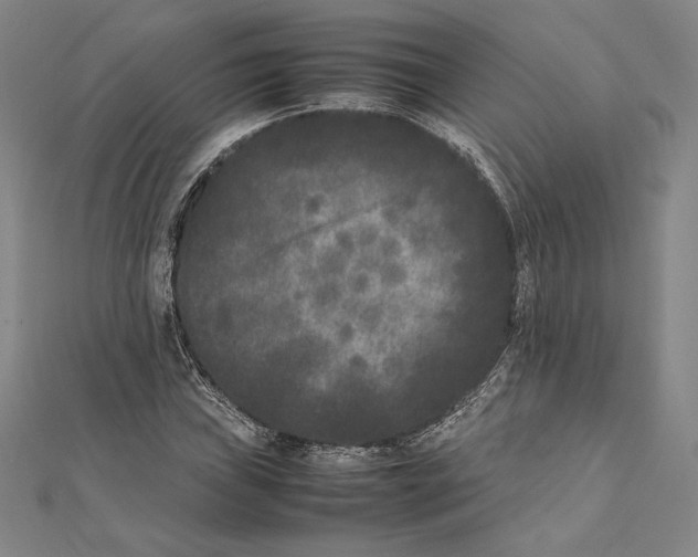 X0000112041019200908311232