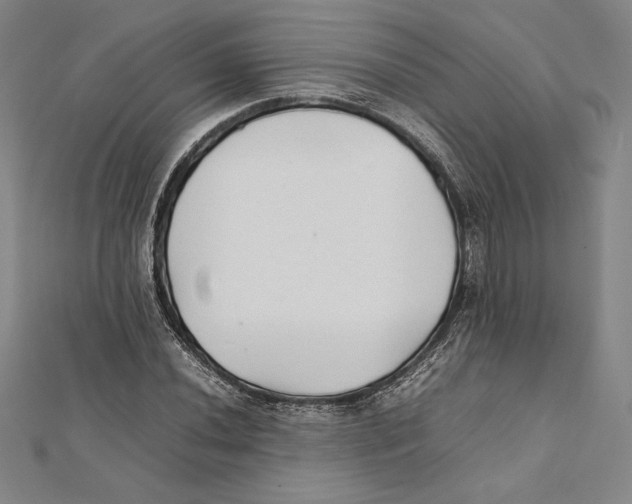 X0000112041020200908311232