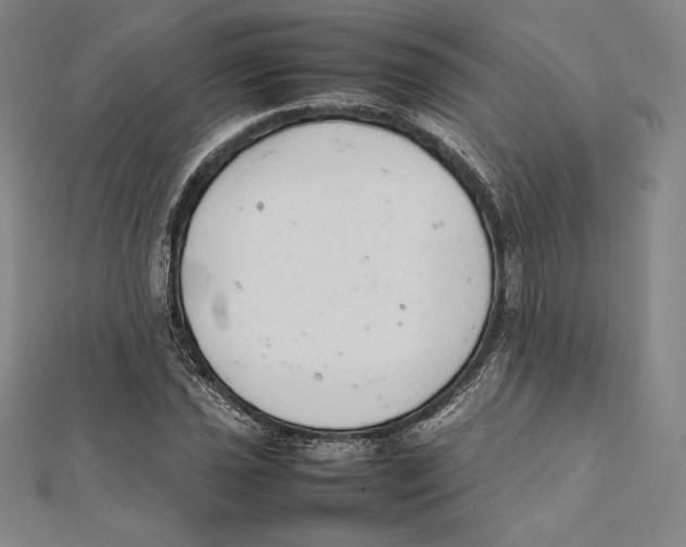 X0000112041021200908311232