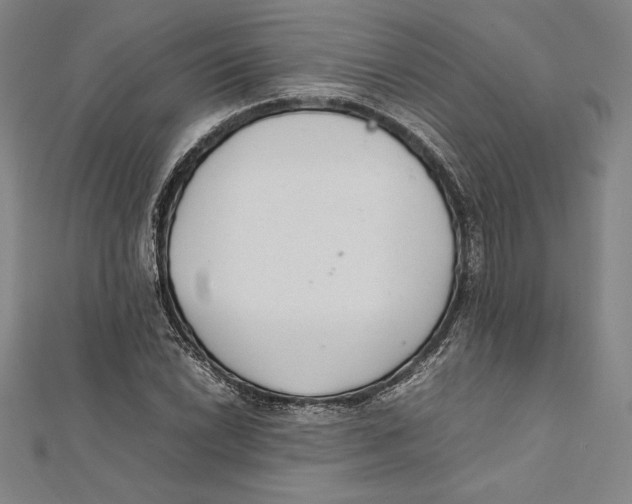 X0000112041022200908311232