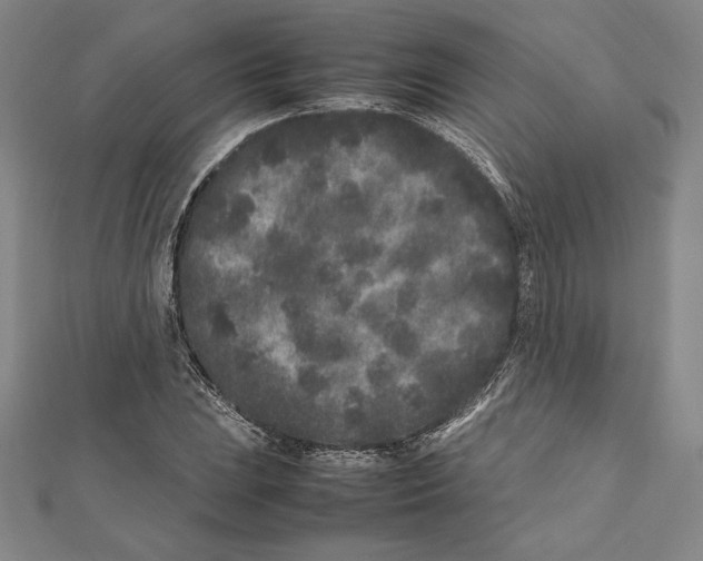 X0000112041023200908311232